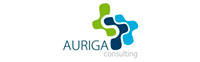 Auriga Consulting - Academia en granada-