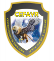 Cefayr - Malaga - Academia en malaga