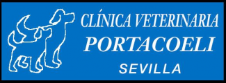 Clínica veterinaria Portacoeli tu academia en Sevilla